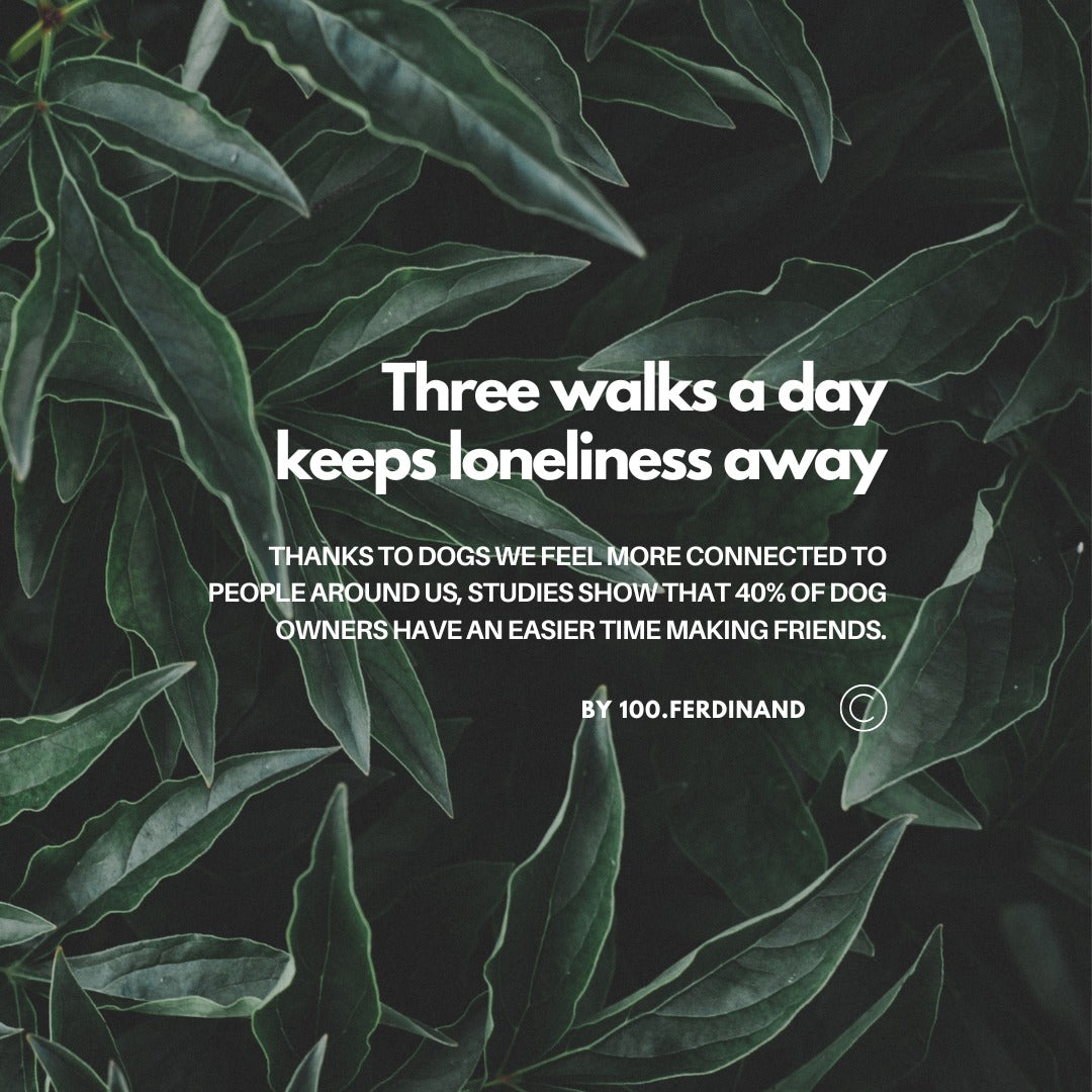 Three Walks A Day