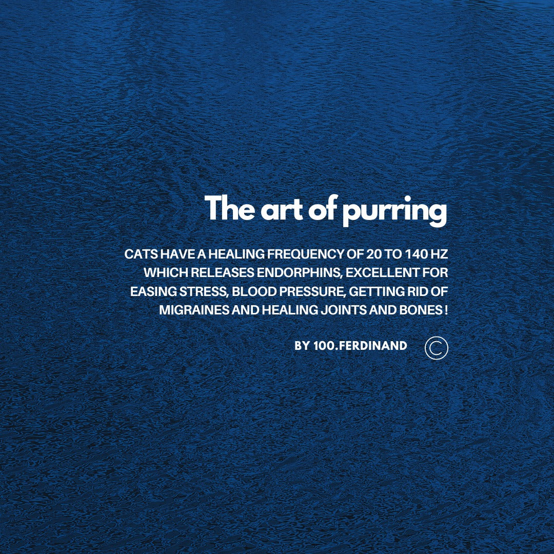 The Art of Purring